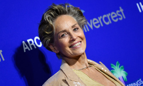 sharon stone (31)