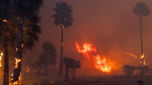 Incendiu violent într-un cartier de lux de la periferia oraşului Los Angeles/ Profimedia