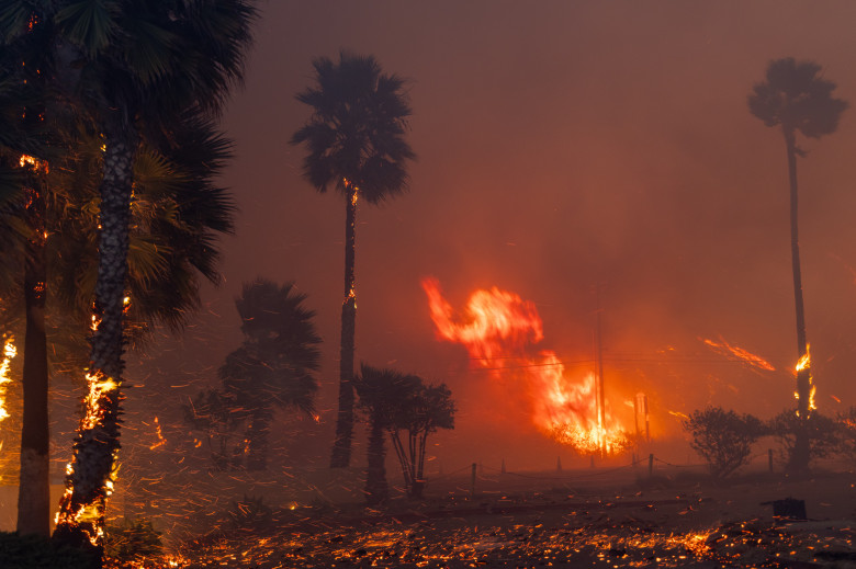 Incendiu violent într-un cartier de lux de la periferia oraşului Los Angeles/ Profimedia