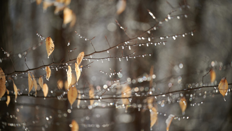 Vreme februarie/ Shutterstock