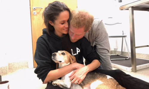 meghan markle si printul harry