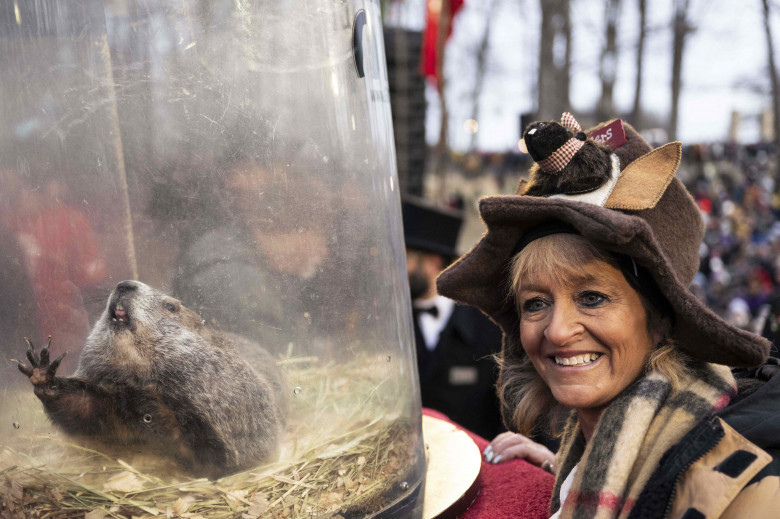 Celebra marmotă cunoscută sub numele de Phil şi-a văzut umbra/ Profimedia