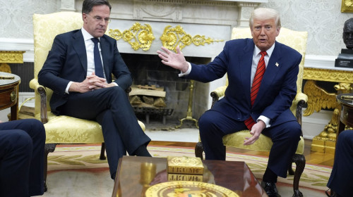 Donald Trump Meets With Mark Rutte - Washington, United States - 13 Mar 2025