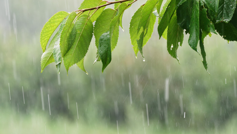 ploaie, vremea, meteo