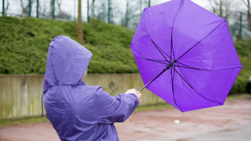A,People,Is,Fighting,With,An,Umbrella,In,The,Wind.