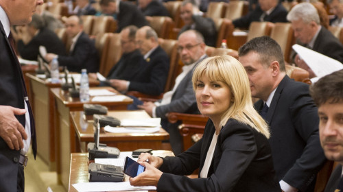 elena udrea