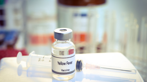 Columbia declară stare de urgenţă sanitară din cauza îmbolnăvirilor şi deceselor provocate de febra galbenă/ Shutterstock