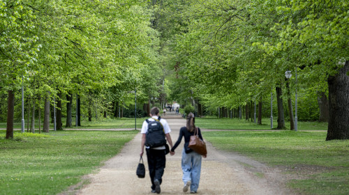 primavara, cuplu la plimbare prin parc