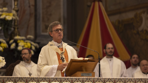 Cardinalii se reunesc marți pentru a planifica funeraliile Papei Francisc/ Profimedia