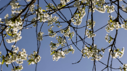Vreme/ Shutterstock