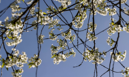 Vreme/ Shutterstock