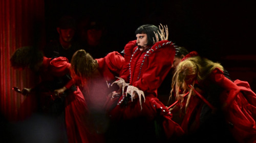 concert lady gaga (7)
