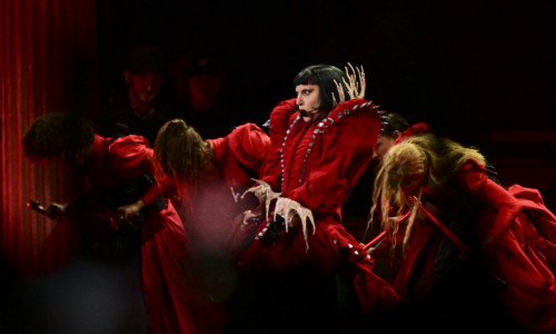 concert lady gaga (7)