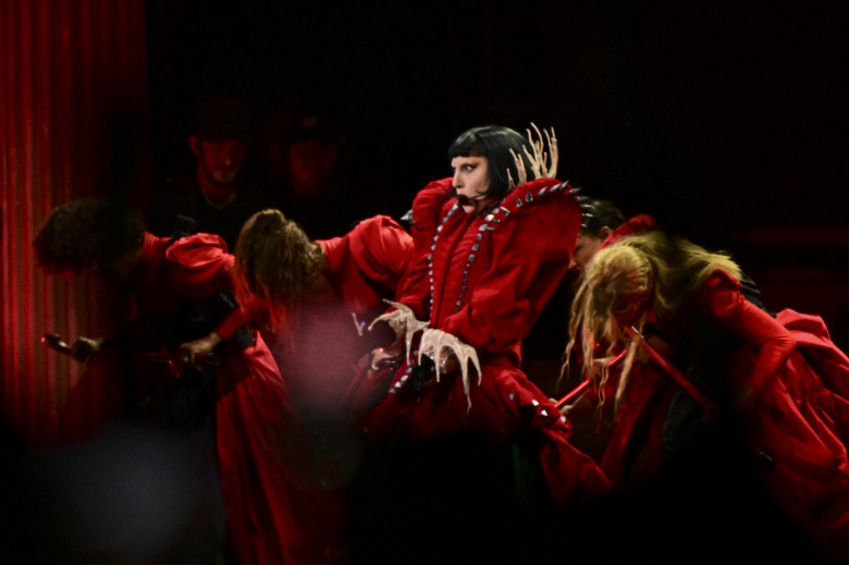 concert lady gaga (7)