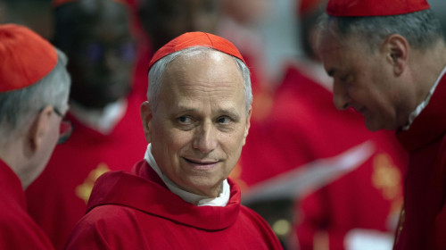 Vatican, Vatican. 28th Apr, 2025. **NO LIBRI** Italy, Rome, Vatican, 2025/4/28 .Cardinal Robert Francis Prevost (prefect of the Dicastery for Bishops) attends a mass on the third of nine days of mourning for late Pope Francis, in St. Peter&apos;s Basilica at t