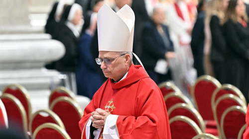 Mass on the seventh of nine days of mourning (Novendiali) for late Pope Francis
