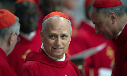 Vatican, Vatican. 28th Apr, 2025. **NO LIBRI** Italy, Rome, Vatican, 2025/4/28 .Cardinal Robert Francis Prevost (prefect of the Dicastery for Bishops) attends a mass on the third of nine days of mourning for late Pope Francis, in St. Peter's Basilica at t