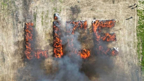 Poliția din Lice a ars 20 de tone de canabis în centrul orașului/ Foto: X