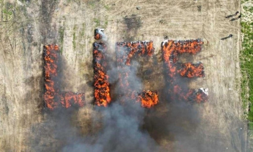 Poliția din Lice a ars 20 de tone de canabis în centrul orașului/ Foto: X