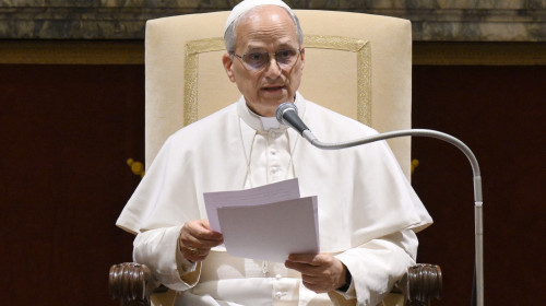 Pope Leo XIV Meets Brothers of the Christian Schools - Vatican