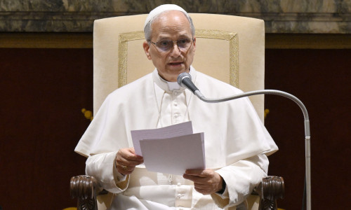 Pope Leo XIV Meets Brothers of the Christian Schools - Vatican