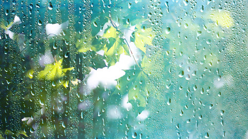 Summer,Rain,Wet,Glass,Abstract,Background,Landscape,On,A,Rainy