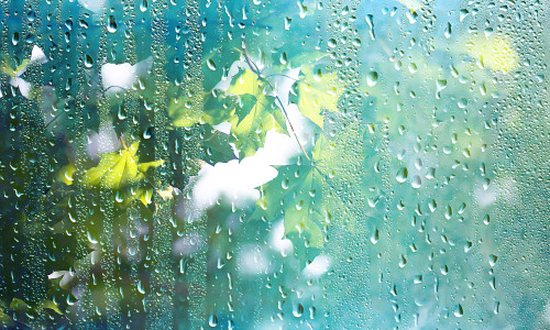Summer,Rain,Wet,Glass,Abstract,Background,Landscape,On,A,Rainy