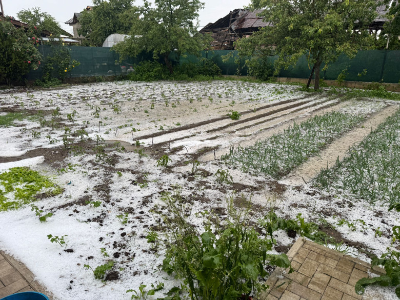 grindina dambovita si prahova
