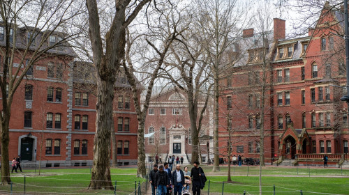 universitatea harvard (2)