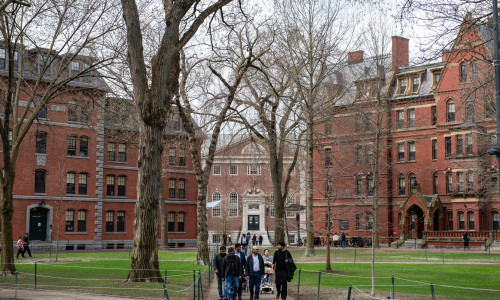 universitatea harvard (2)