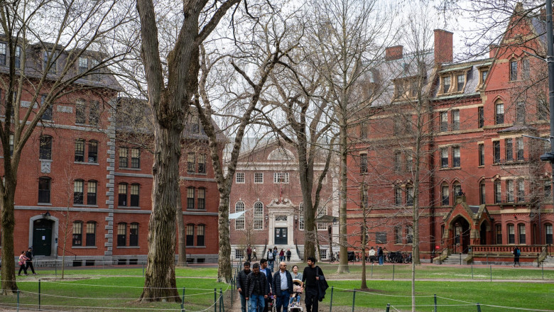 universitatea harvard (2)