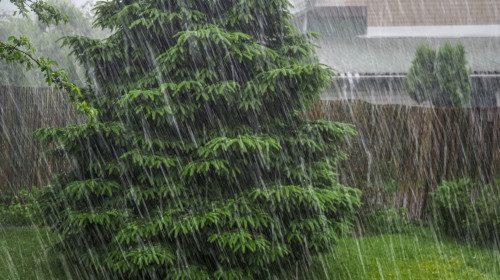Spring,In,Kaunas,,Lithuania,,31,05,2024.,Heavy,Rain,With