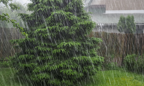Spring,In,Kaunas,,Lithuania,,31,05,2024.,Heavy,Rain,With