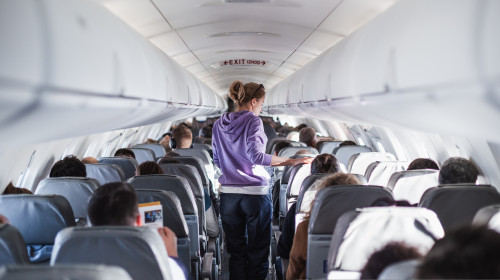Avion/ Shutterstock