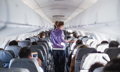 Avion/ Shutterstock