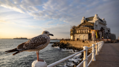 constanta (2)