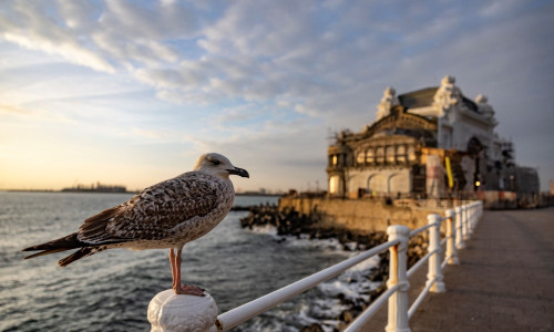 constanta (2)