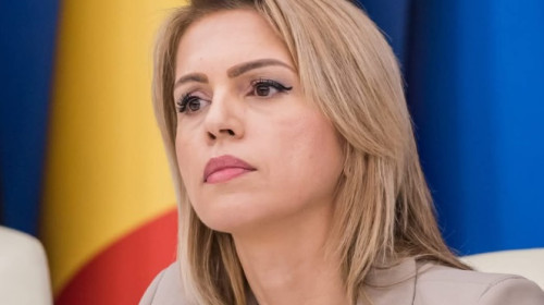 Luminița Popescu, secretar de stat