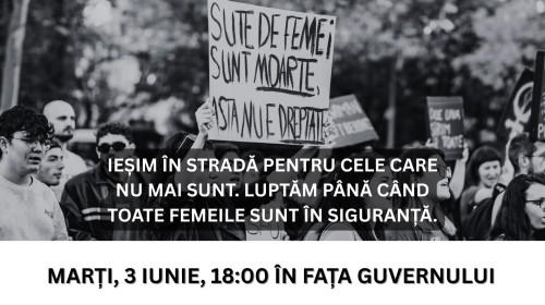 miting „Niciuna înfrântă. Niciuna uitată. Niciuna mai puţin”