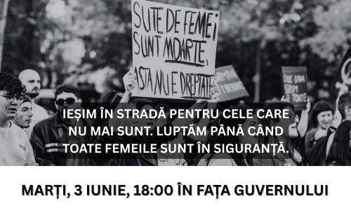 miting „Niciuna înfrântă. Niciuna uitată. Niciuna mai puţin”