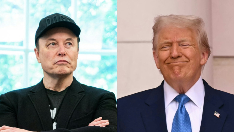 elon musk si donald trump
