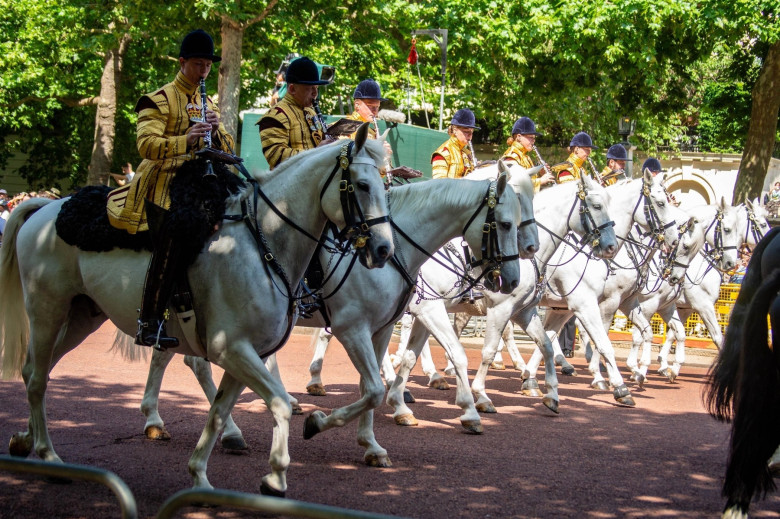 Trooping the Colour 2025