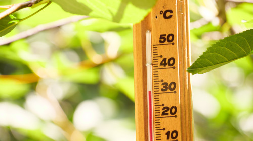 Red,Heat,Warning,,,Heatwave,Cause,Climate,Change,And,Global