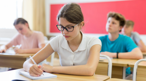 test, examen, evaluare nationala