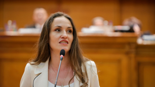 oana țoiu usr