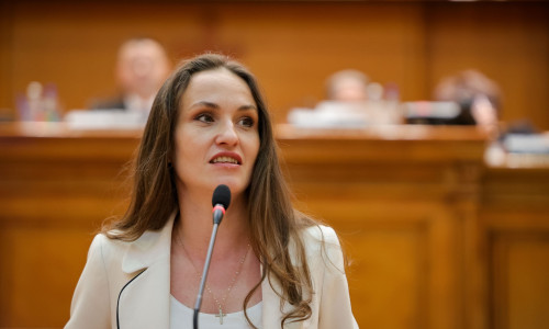oana țoiu usr