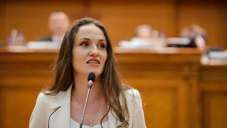 oana țoiu usr