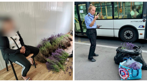 O femeie a fost prinsă la furat lavandă de două ori, în mai puțin de o oră