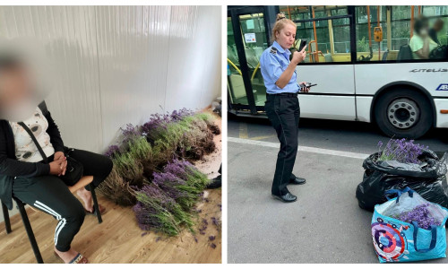 O femeie a fost prinsă la furat lavandă de două ori, în mai puțin de o oră