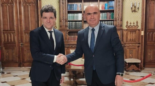nicusor dan si ilie bolojan